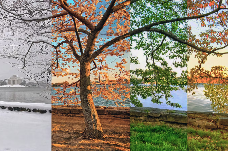 Our life as compared to the nature’s four seasons.